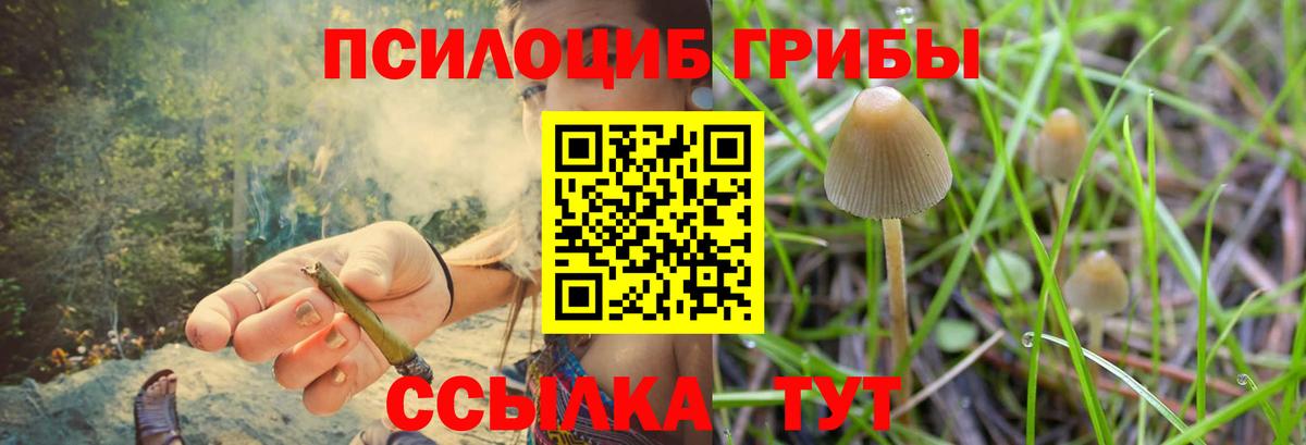 Псилоцибиновые грибы GOLDEN TEACHER  Вход с VPN  Верхняя Пышма 